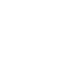Lion Heart Logo
